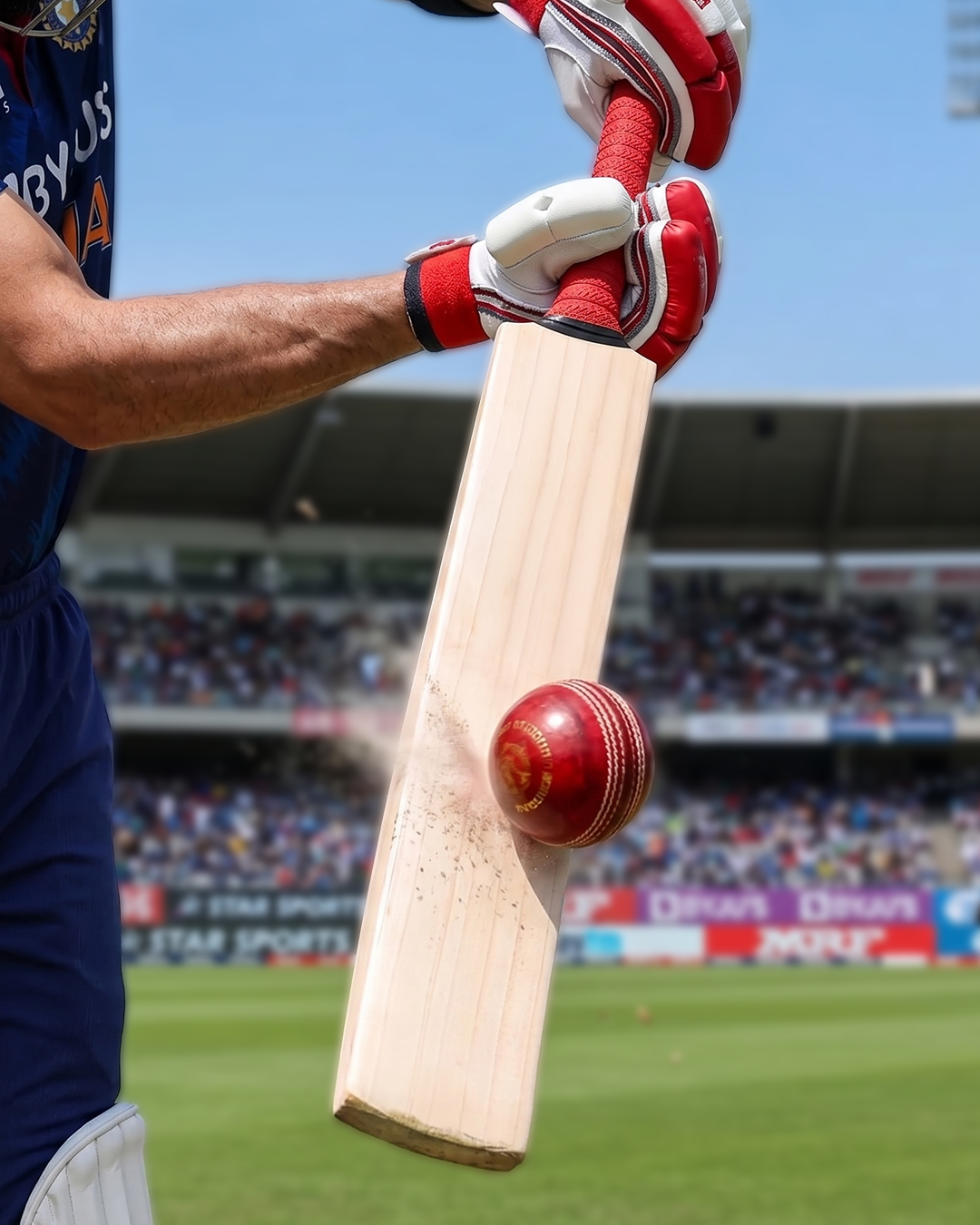 Buy Dsc RS 060 Cricket Bat Online Scs Sports SCS Sports