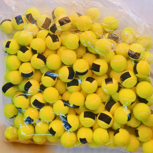 Tecnifibre Pressureless Tennis Ball