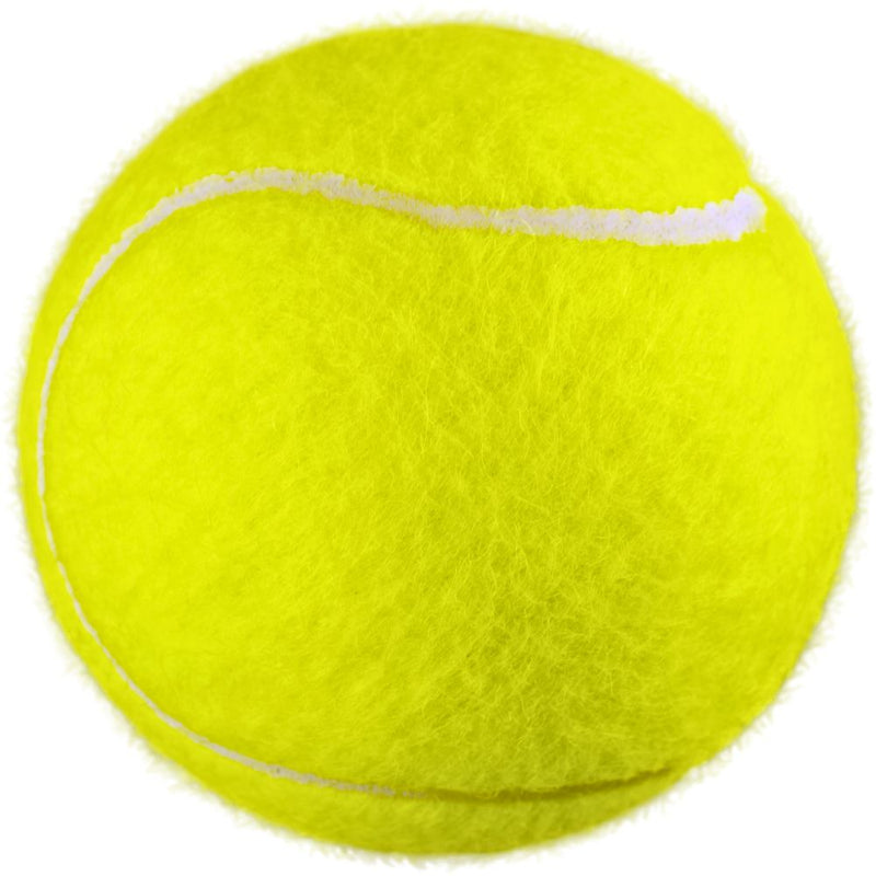 Load image into Gallery viewer, Tecnifibre Pressureless Tennis Ball
