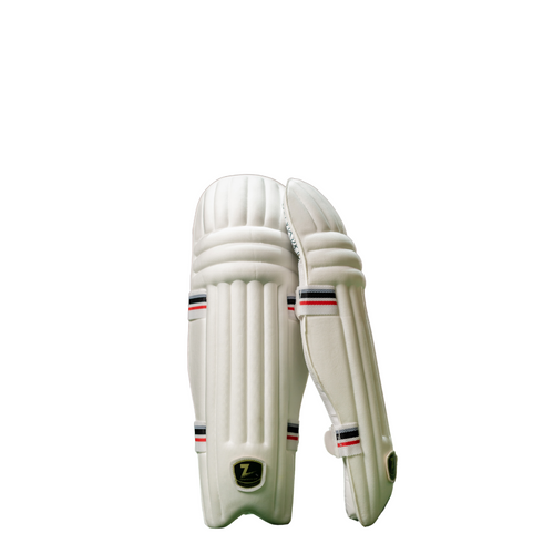 Z-Bat Test Pro Cricket Batting Pads